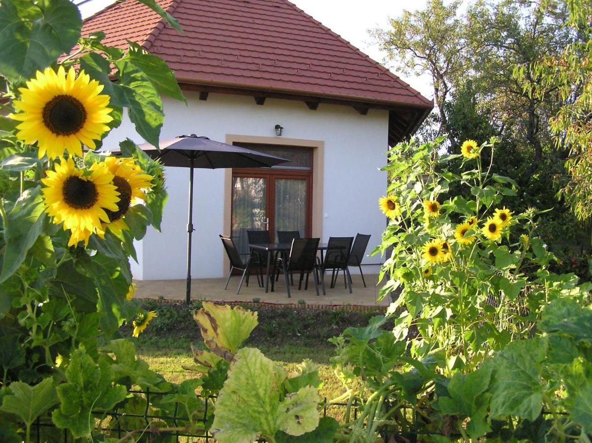 Egrelato Vendeghaz Apartment Balatonakali Exterior photo